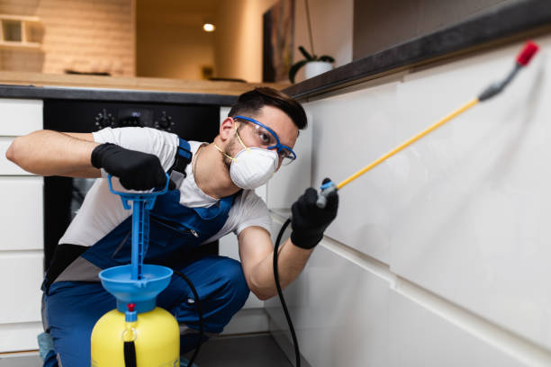Best Pest Removal Services  in Silver Hill, MD