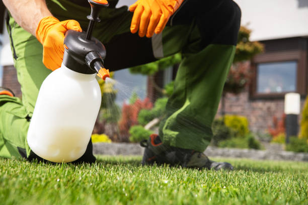 Best Affordable Pest Control Services  in Silver Hill, MD