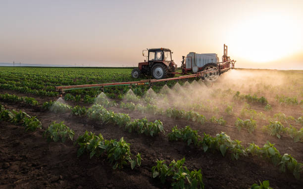 Best Mosquito Control Services  in Silver Hill, MD