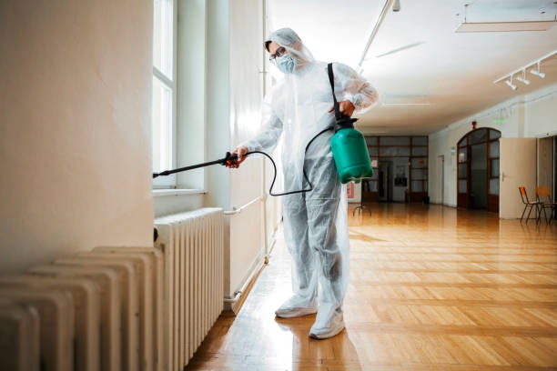 Best Pest Control Near Me in Silver Hill, MD